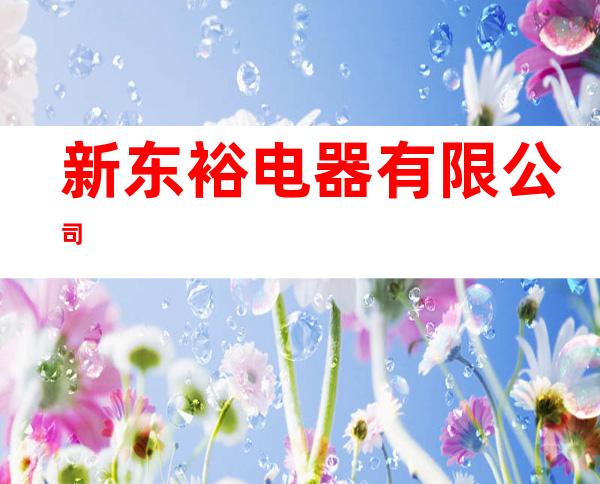 新东裕电器有限公司